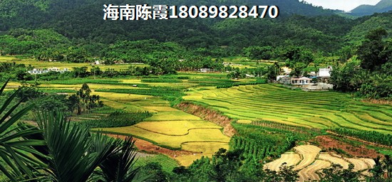 上海房价，使未来三亚土福湾房价暴跌的可能性有多大？