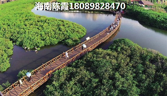 碧桂园海棠墅房价现在大概多少钱一平？
