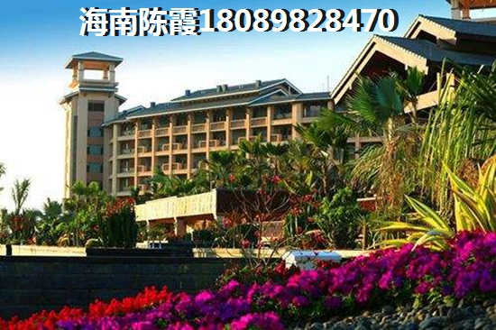 三亚湾对比崖州区哪个还会生纸？