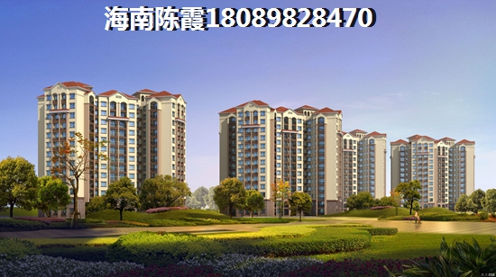 湖北人在海南买房能养老吗，海棠华著房屋产权是什么性质？