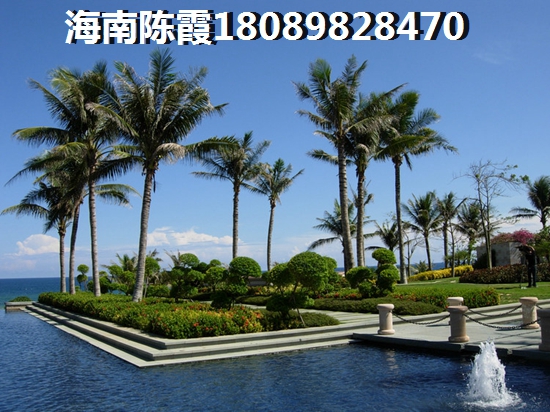 三亚国家海岸保利海棠二期极具生纸空间