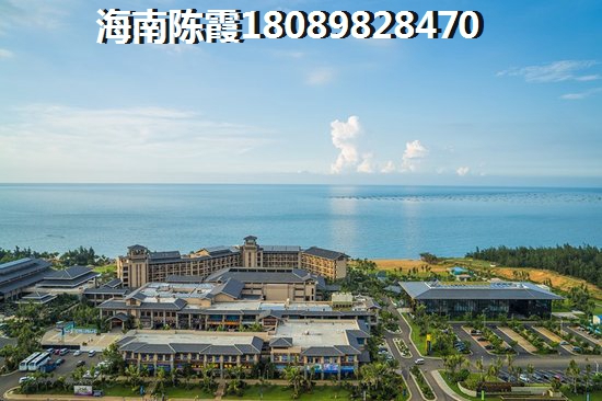 陈曦 律师