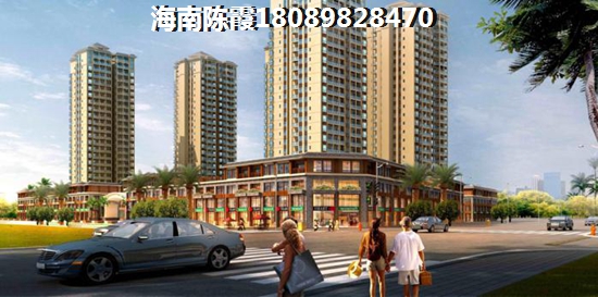 2025年海南发展前景